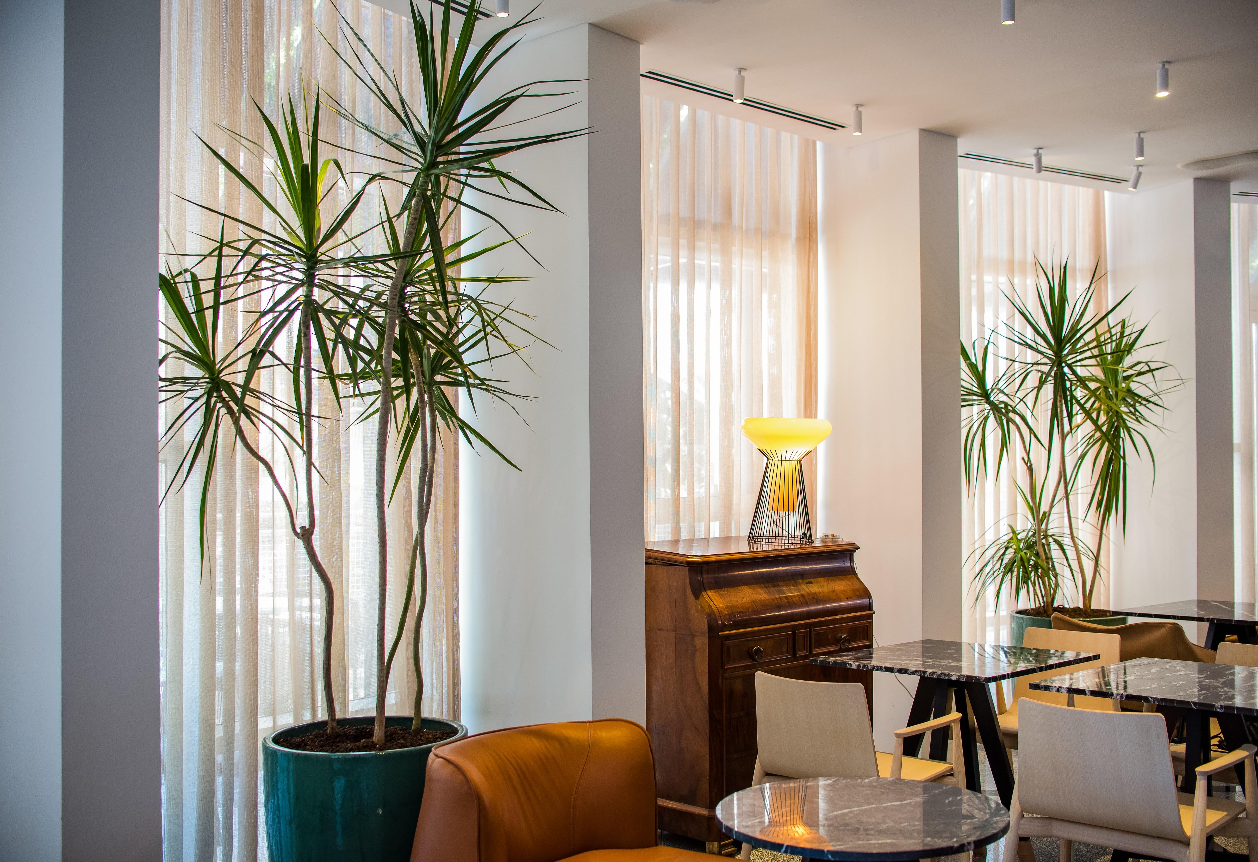 65 Hotel, Rothschild Tel Aviv - An Atlas Boutique Hotel Экстерьер фото